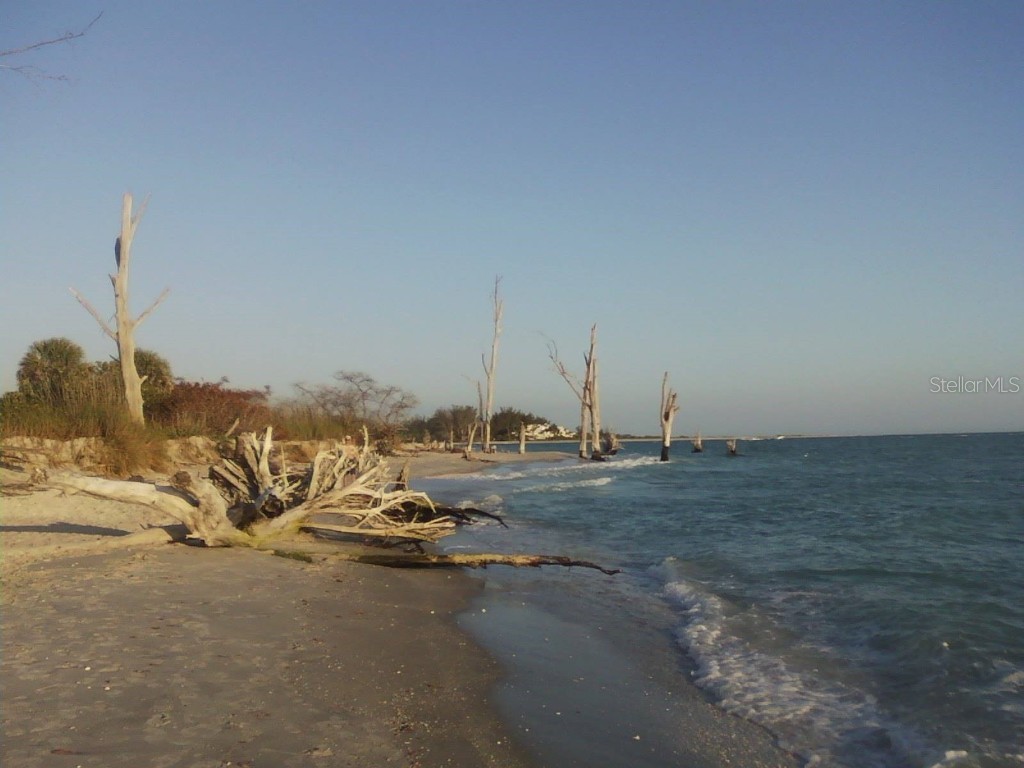 21036 Dearman Avenue Port Charlotte FL 33954 C7476586 image16