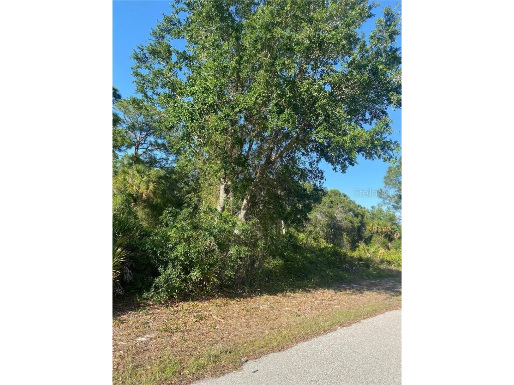 21036 Dearman Avenue Port Charlotte FL 33954 C7476586 image5