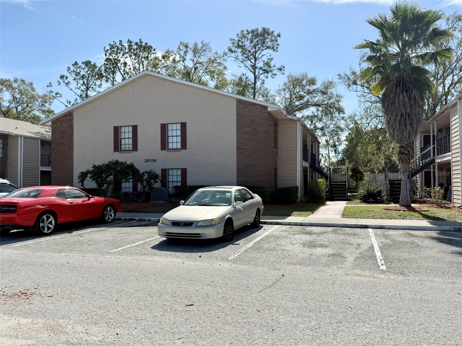 21038 Voyager Boulevard #3 Land O Lakes FL 34638 TB8475911 image1