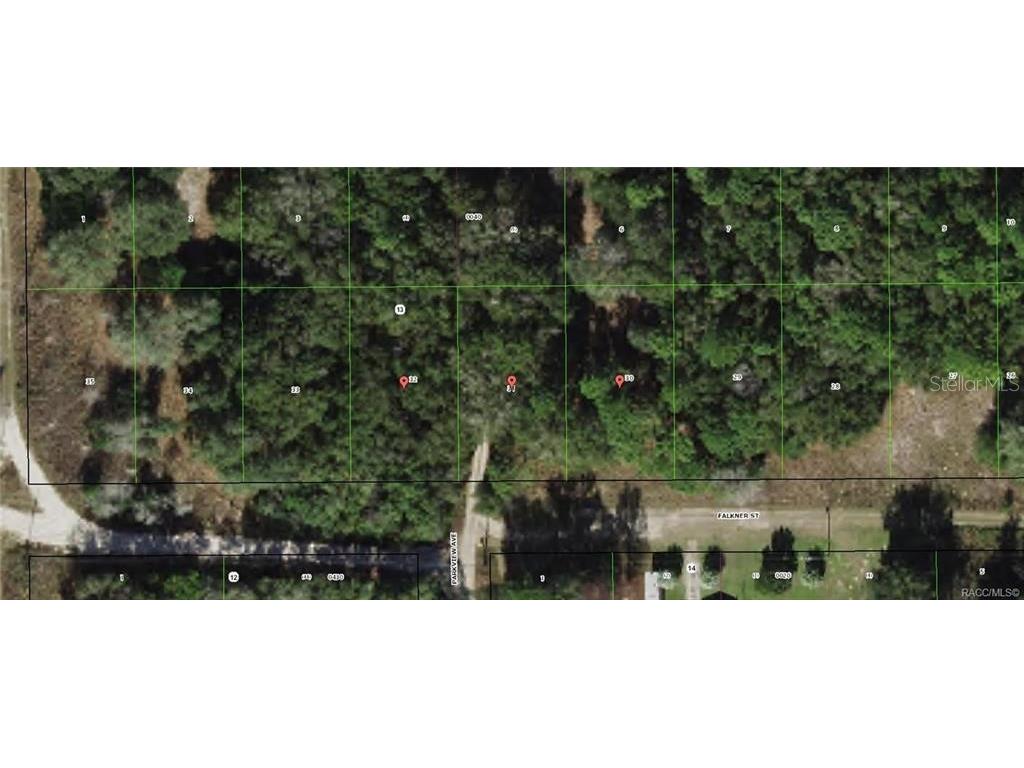 210420162014 Falkner Street Inverness FL 34453 OM680479 image1