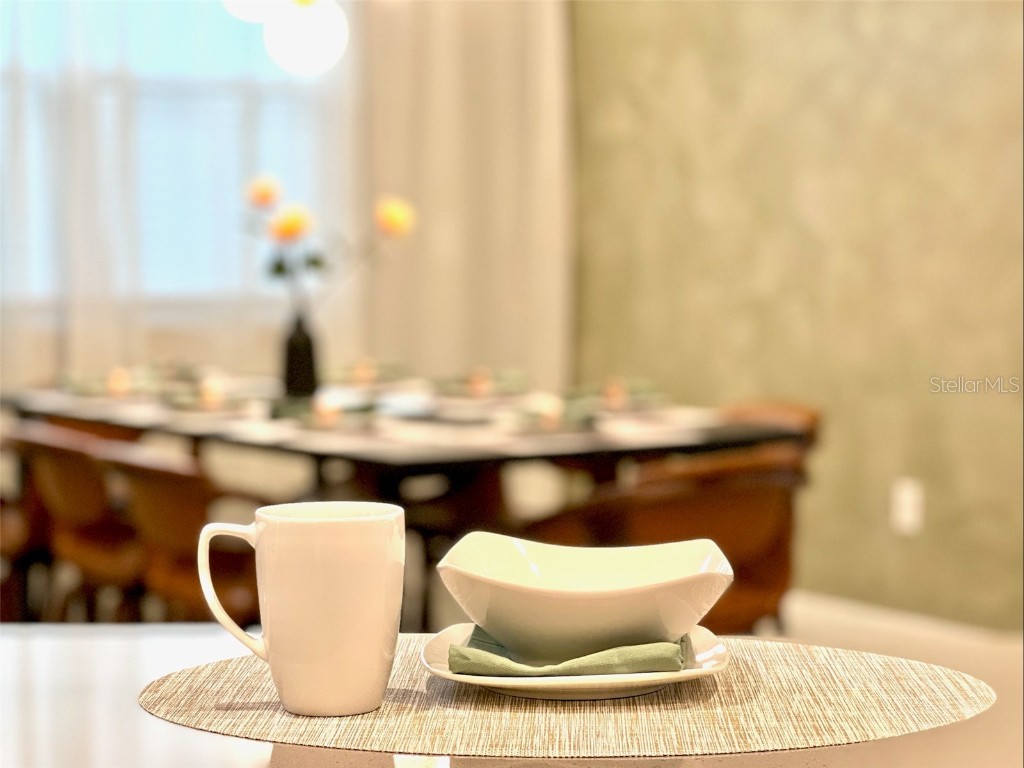 2104 Fleming Mist Place Kissimmee FL 34747 O6251342 image24