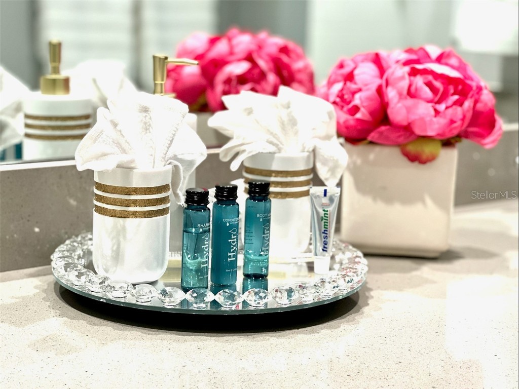 2104 Fleming Mist Place Kissimmee FL 34747 O6251342 image35