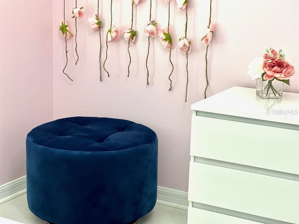 2104 Fleming Mist Place Kissimmee FL 34747 O6251342 image7