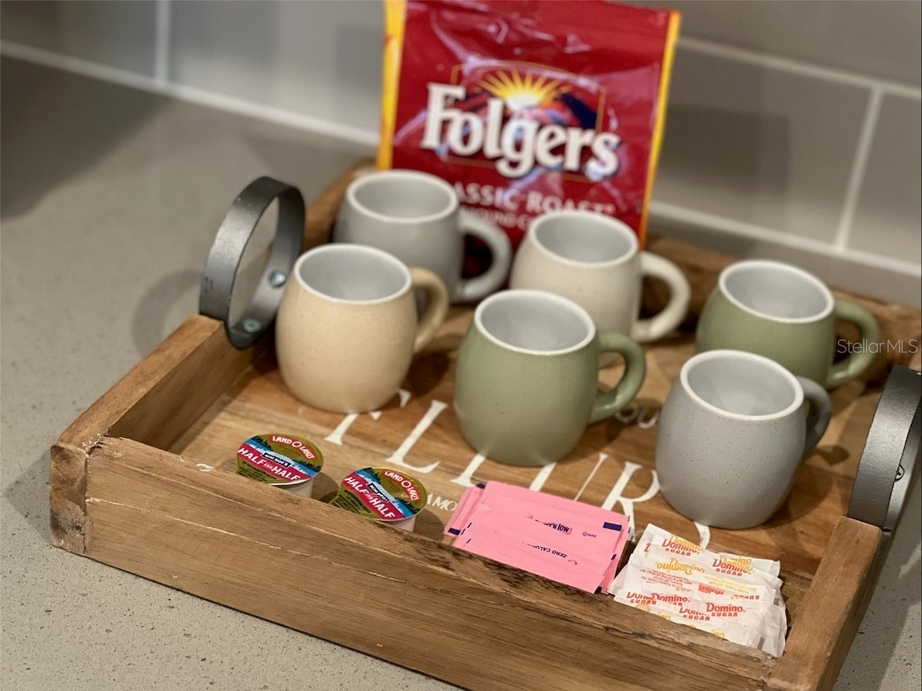 2104 Fleming Mist Place Kissimmee FL 34747 O6251342 image9