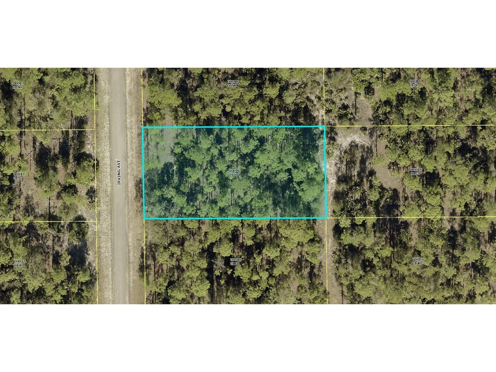 2104 Irving Avenue Alva FL 33920 C7457201 image1