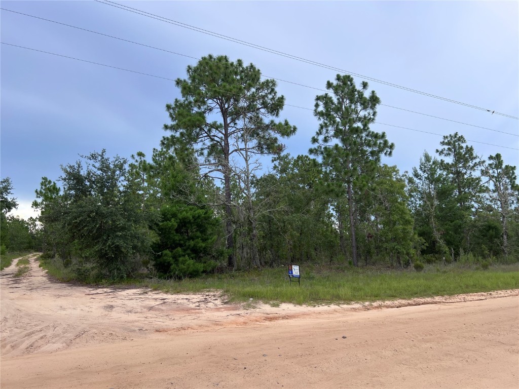 2104 Main Street Hawthorne FL 32640 GC532246 image3