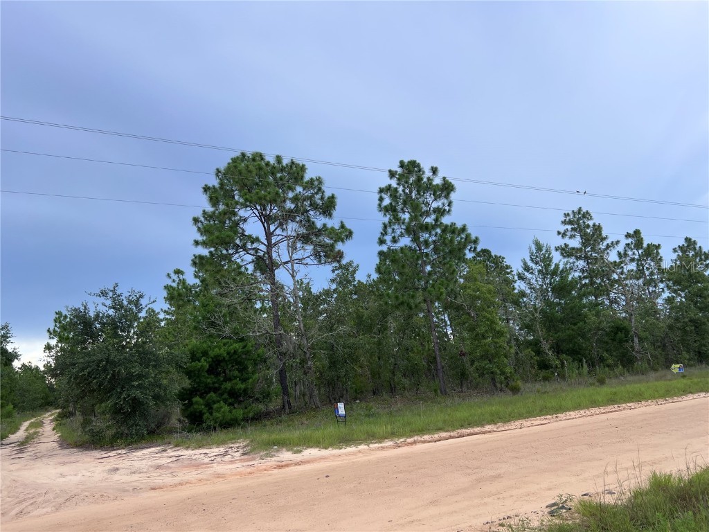 2104 Main Street Hawthorne FL 32640 GC532246 image4