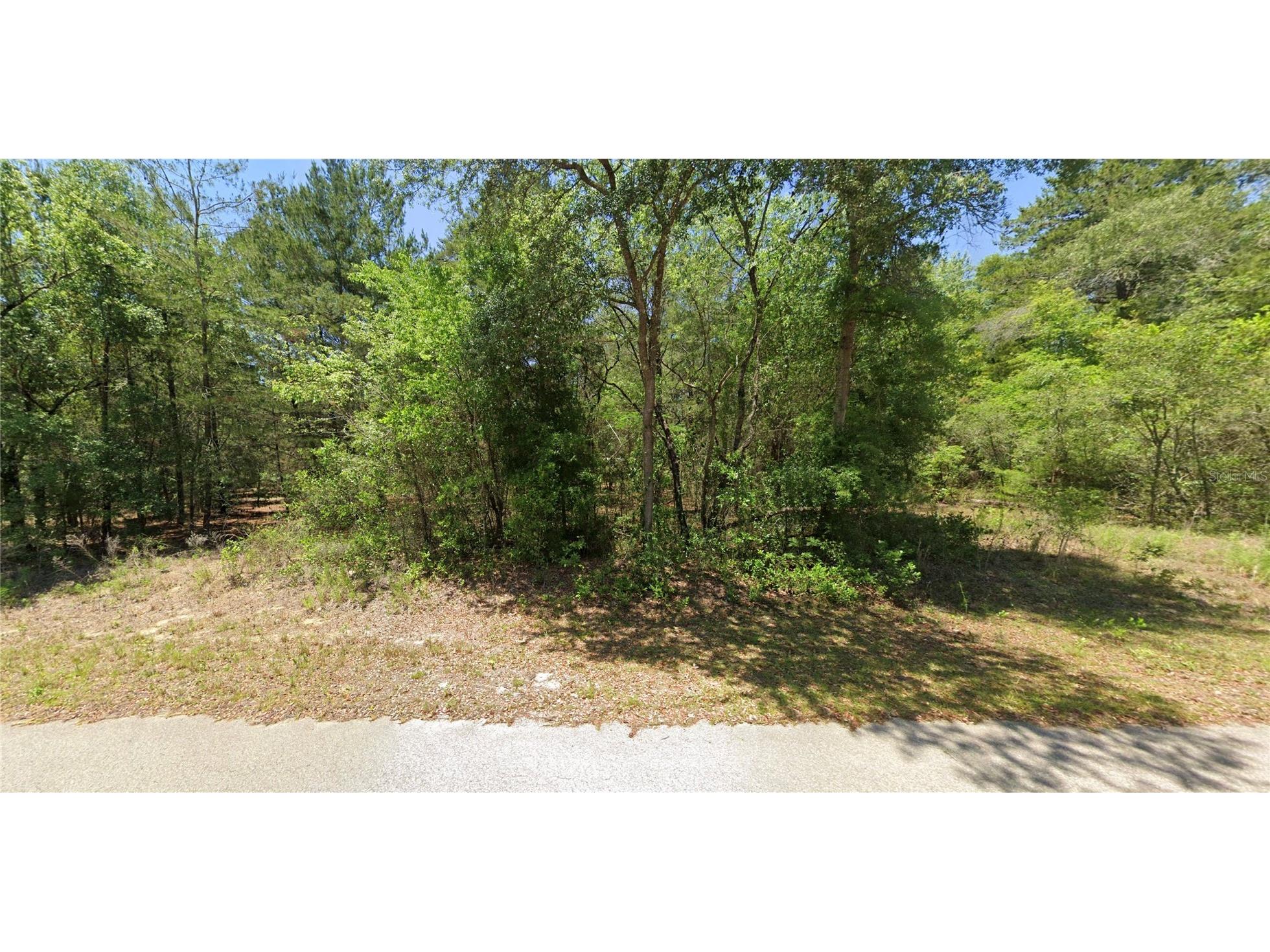 2104 SW Moines Court Dunnellon FL 34431 OM716179 image1