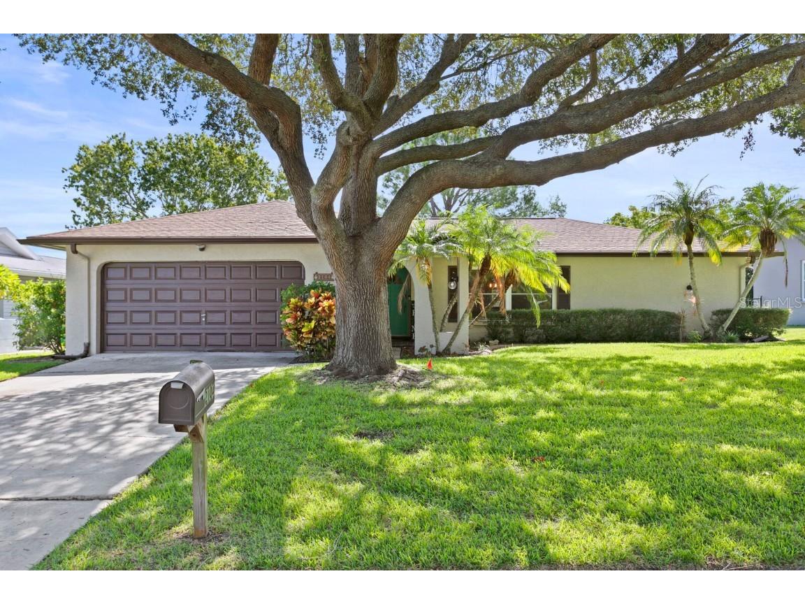 2104 Swan Lane Safety Harbor FL 34695 T3471207 image1