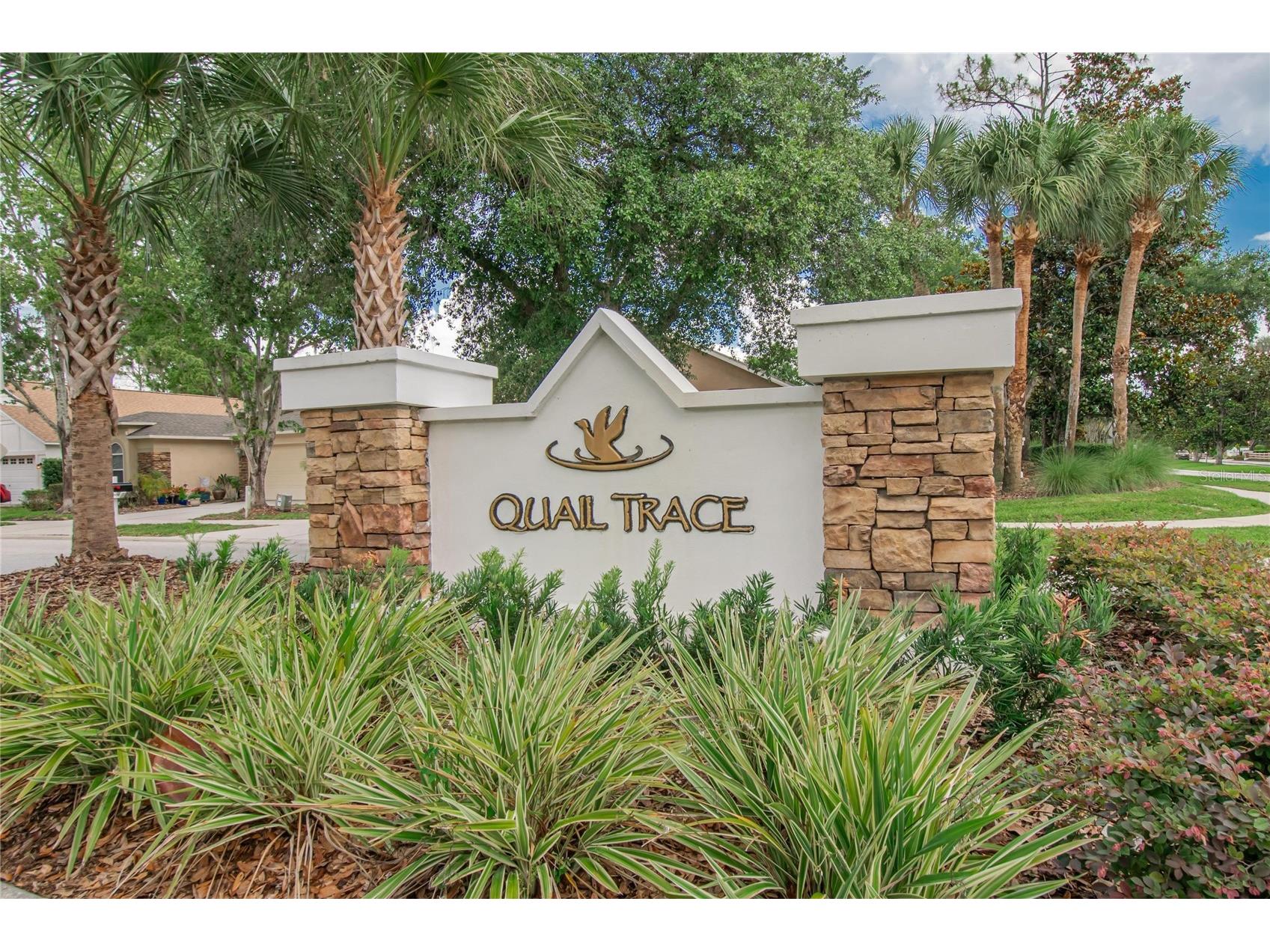 21040 Green Wing Court Land O Lakes FL 34637 TB8512016 image3