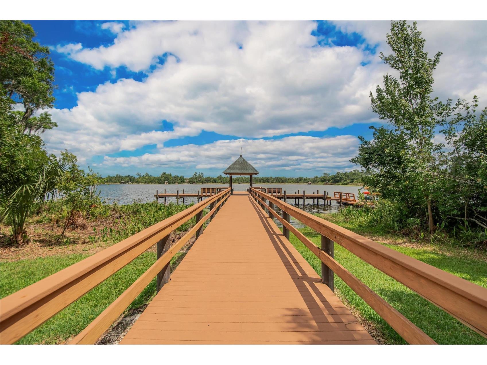 21040 Green Wing Court Land O Lakes FL 34637 TB8512016 image31
