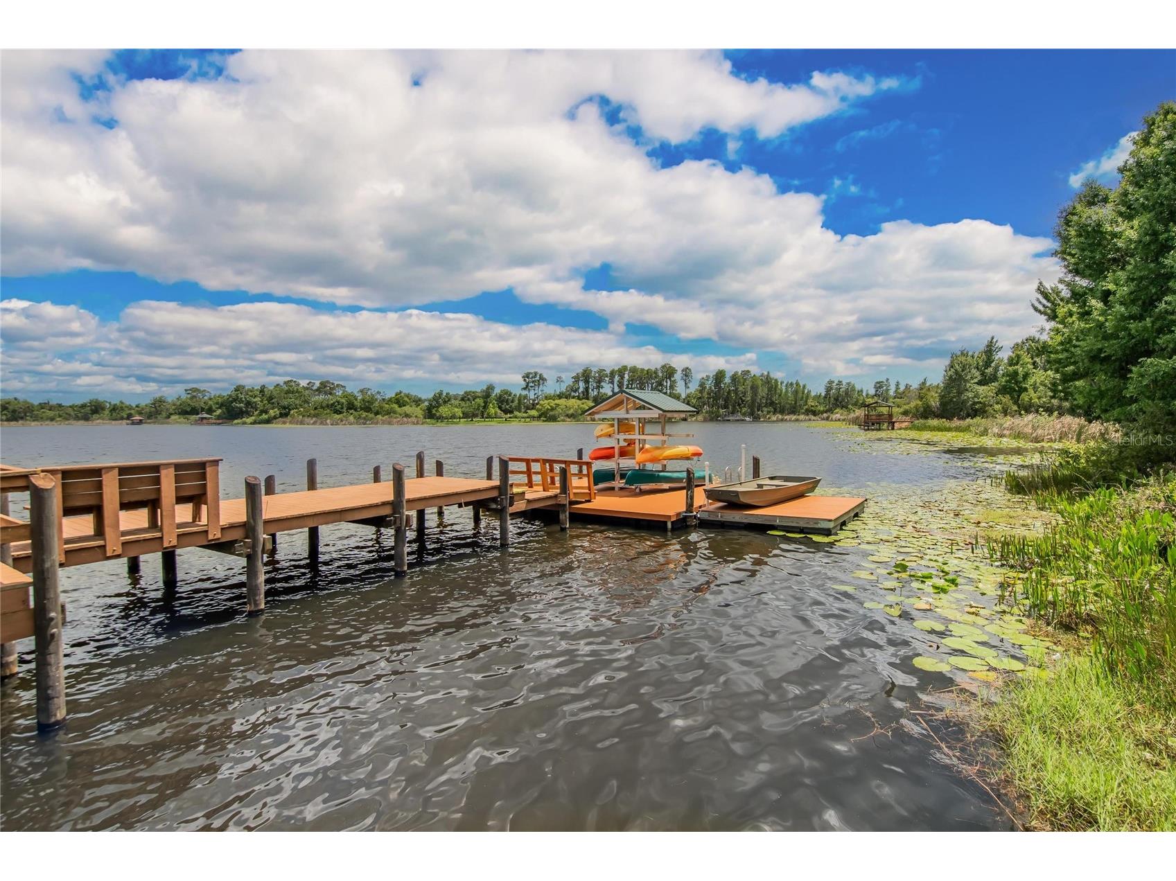 21040 Green Wing Court Land O Lakes FL 34637 TB8512016 image32