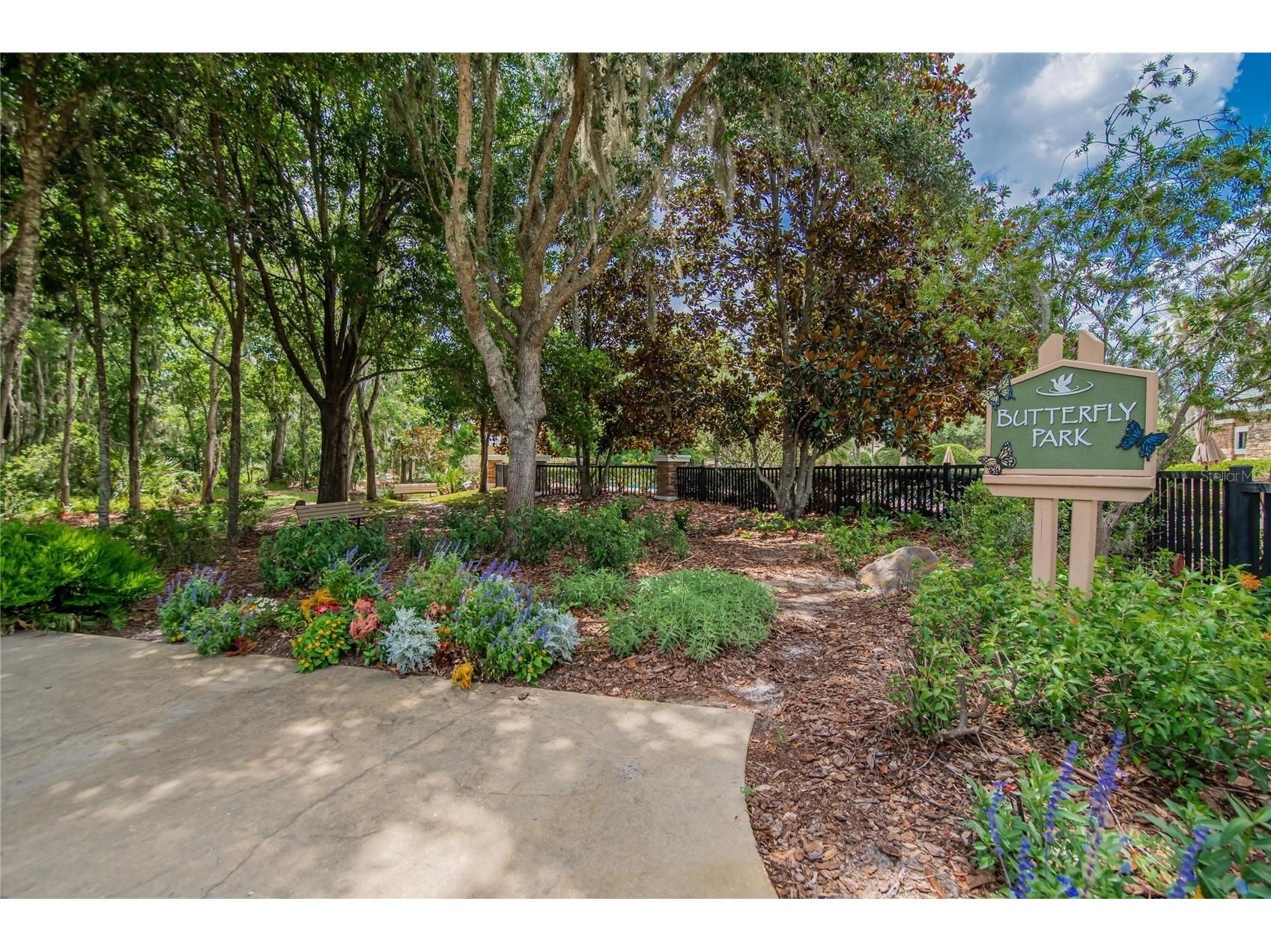 21040 Green Wing Court Land O Lakes FL 34637 TB8512016 image33