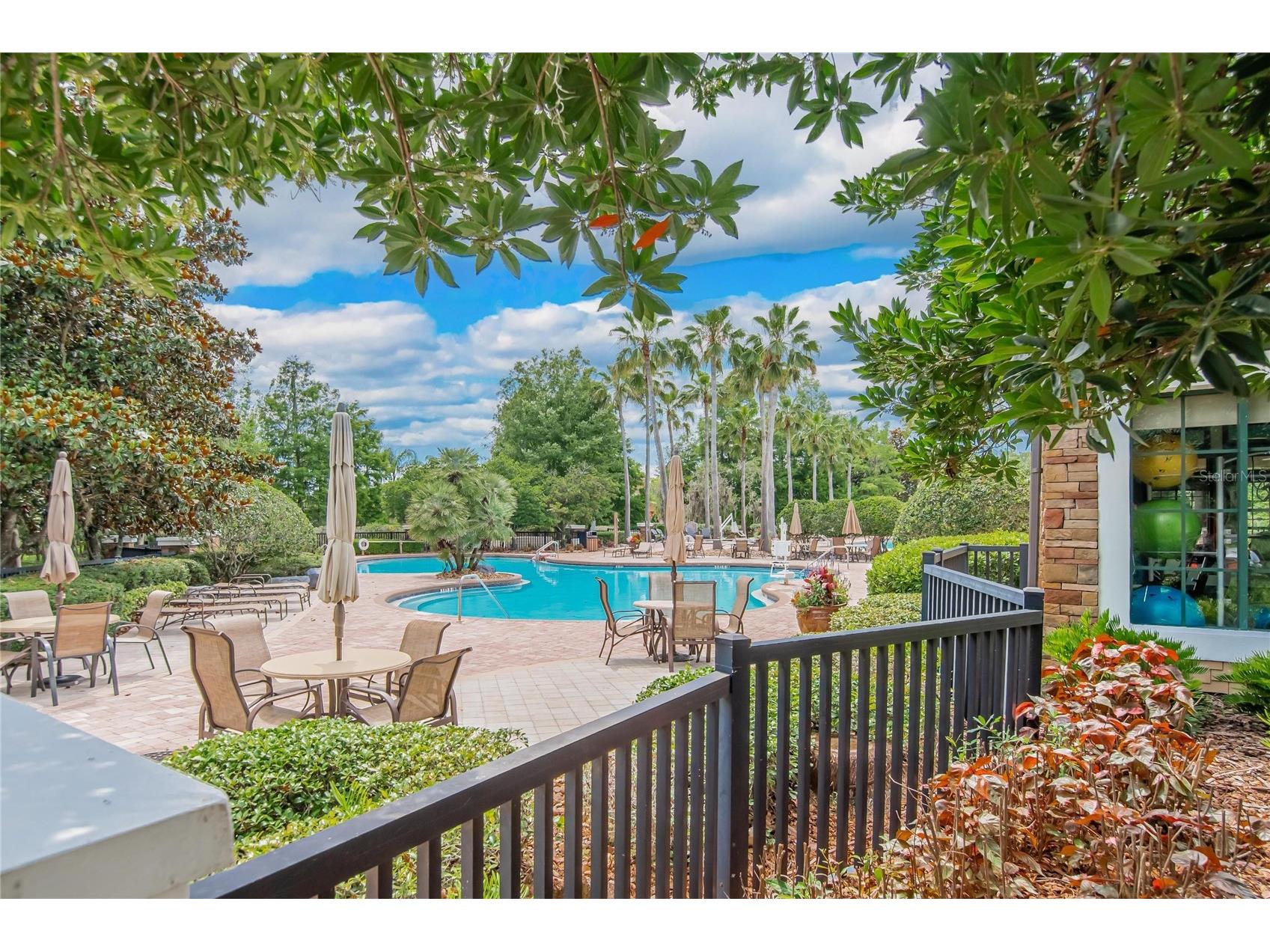 21040 Green Wing Court Land O Lakes FL 34637 TB8512016 image34