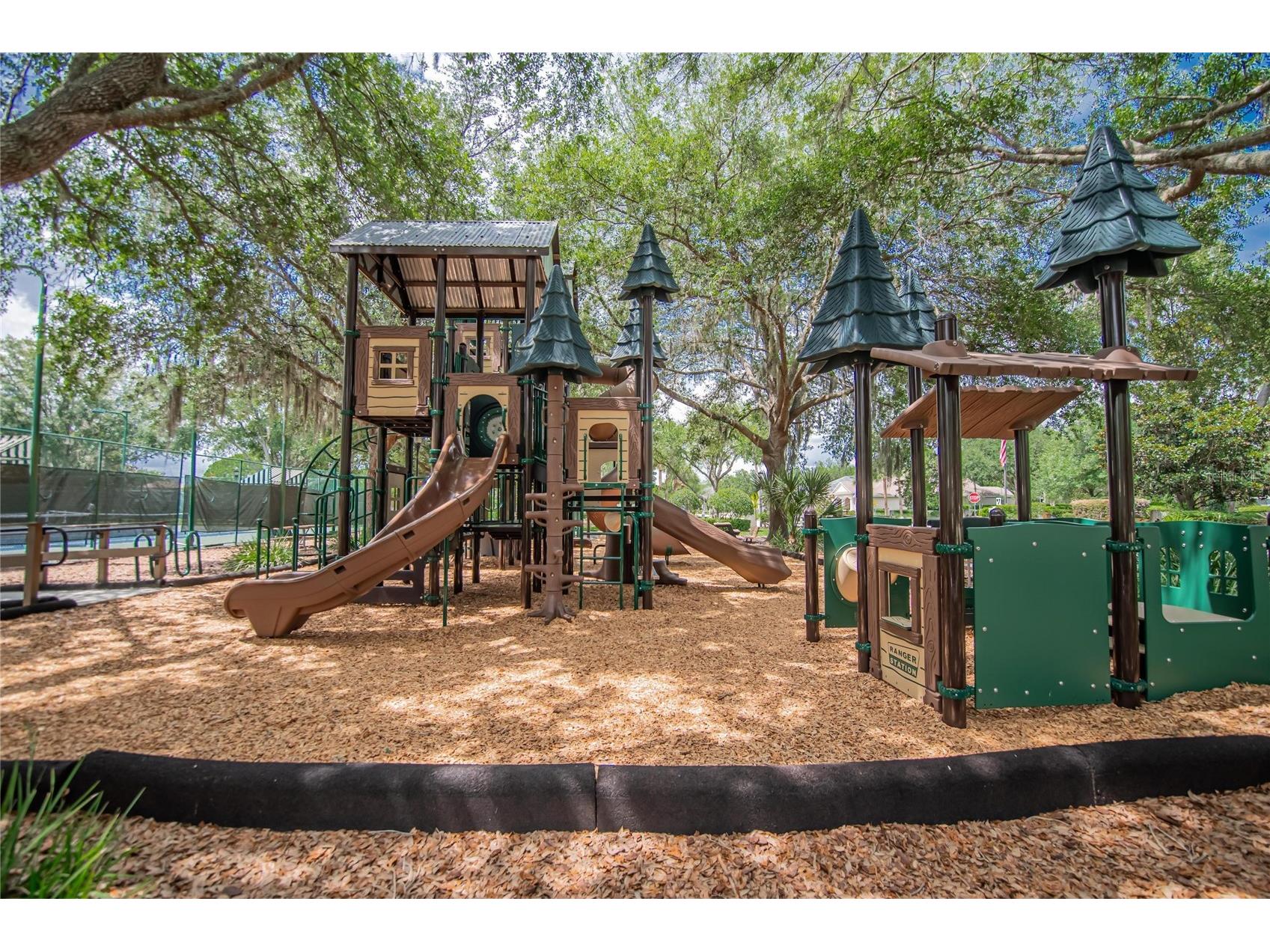21040 Green Wing Court Land O Lakes FL 34637 TB8512016 image36