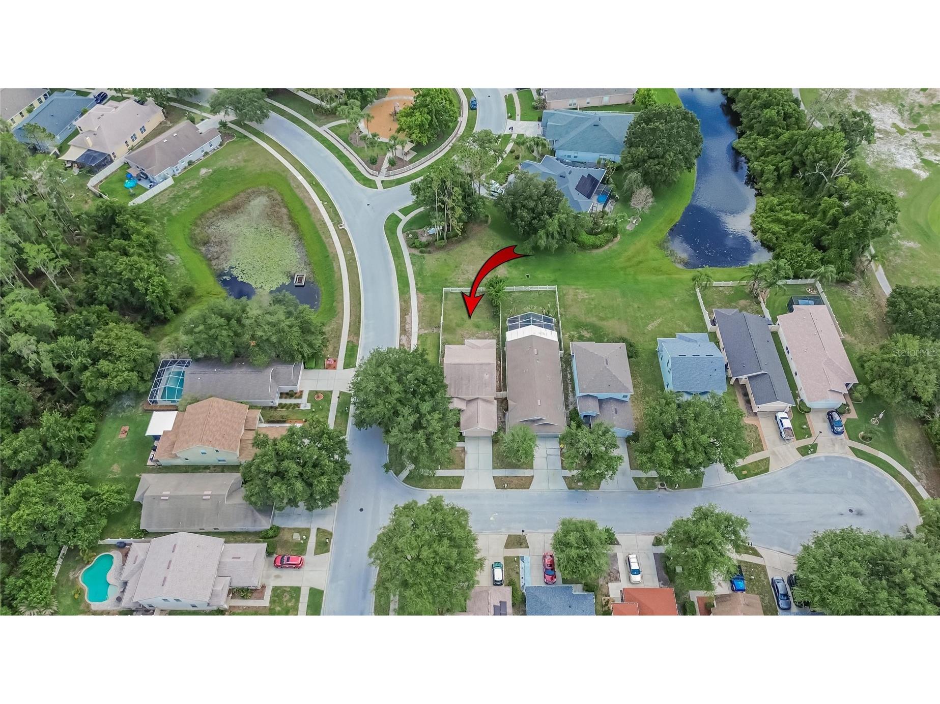 21040 Green Wing Court Land O Lakes FL 34637 TB8512016 image4