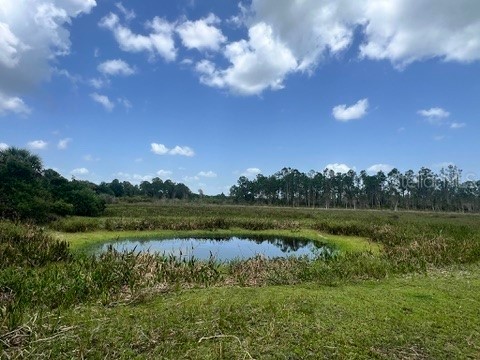 21041 Granville Road North Fort Myers FL 33917 OM703865 image5