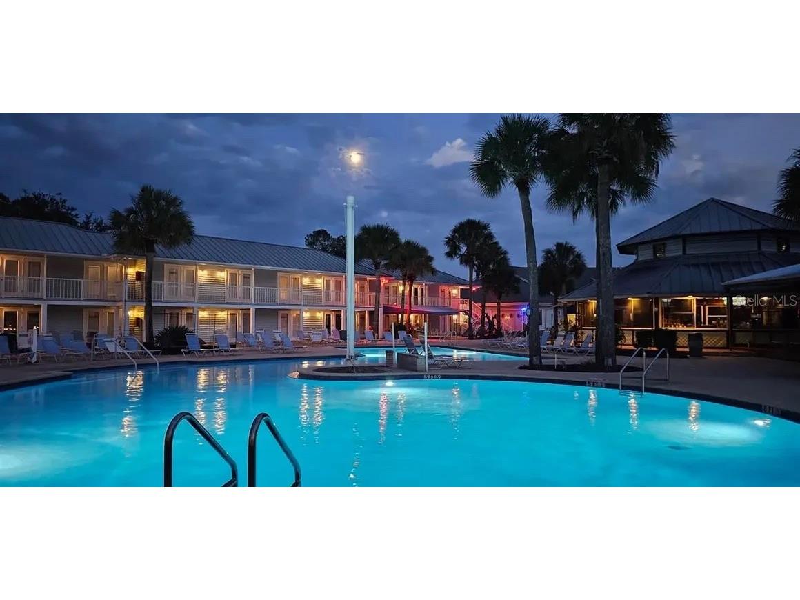 21041 Sunpoint Way #201 Lutz FL 33558 TB8521805 image66