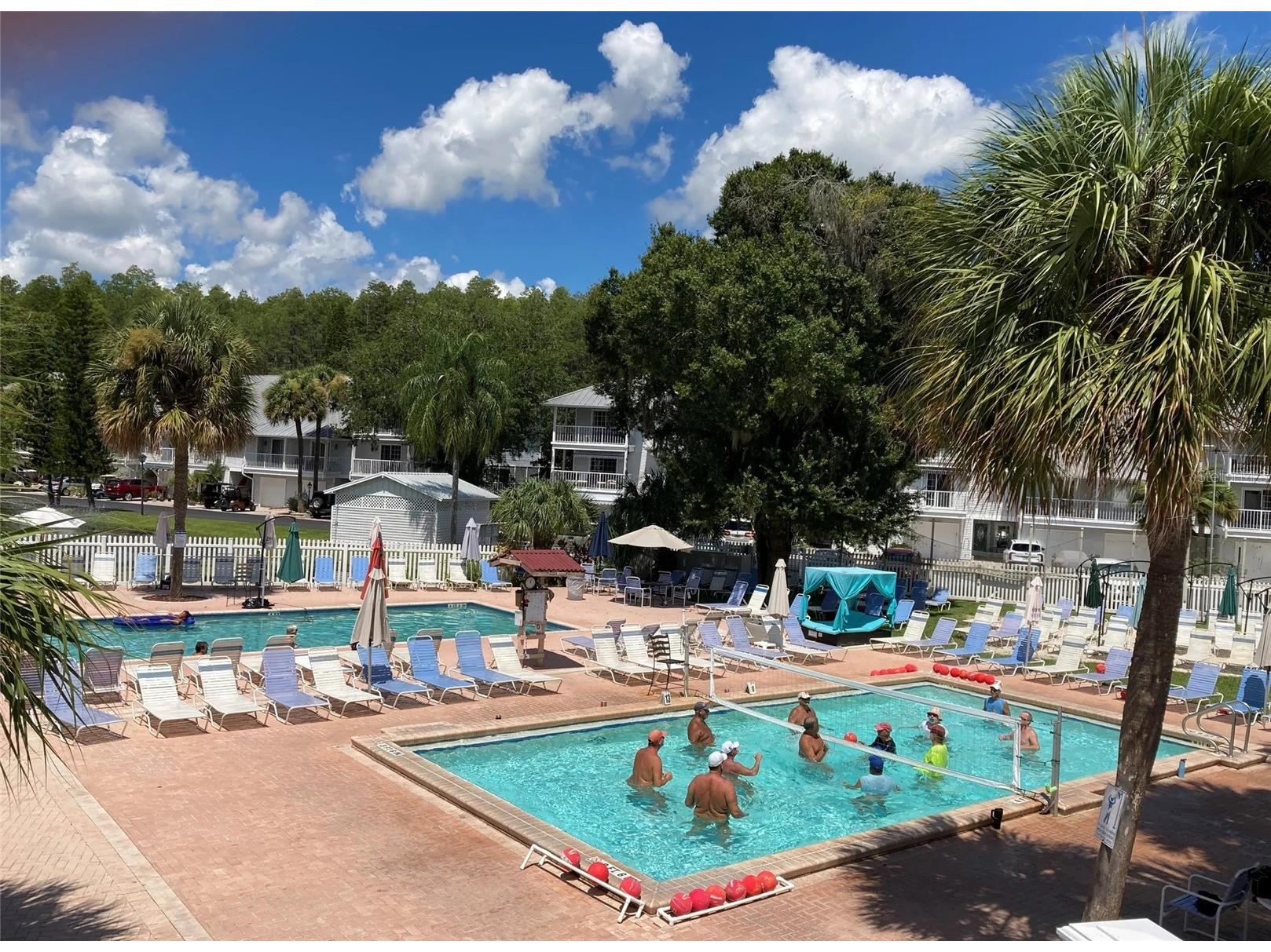 21041 Sunpoint Way #201 Lutz FL 33558 TB8521805 image68