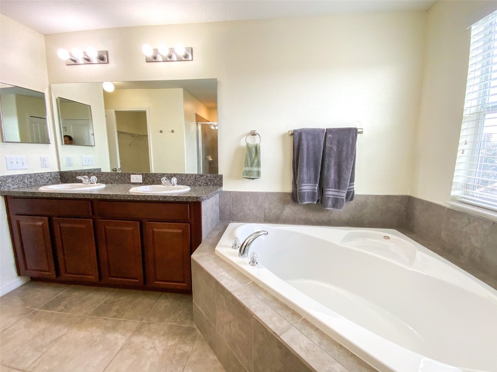 21046 Passive Porch Drive Land O Lakes FL 34637 TB8436950 image21