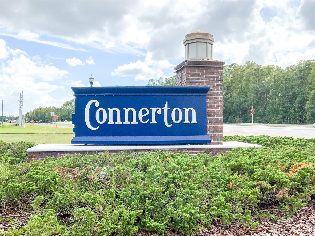 21046 Passive Porch Drive Land O Lakes FL 34637 TB8436950 image41