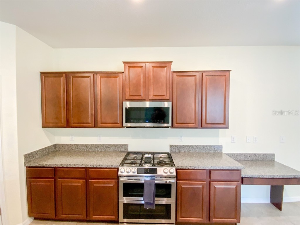 21046 Passive Porch Drive Land O Lakes FL 34637 TB8436950 image6