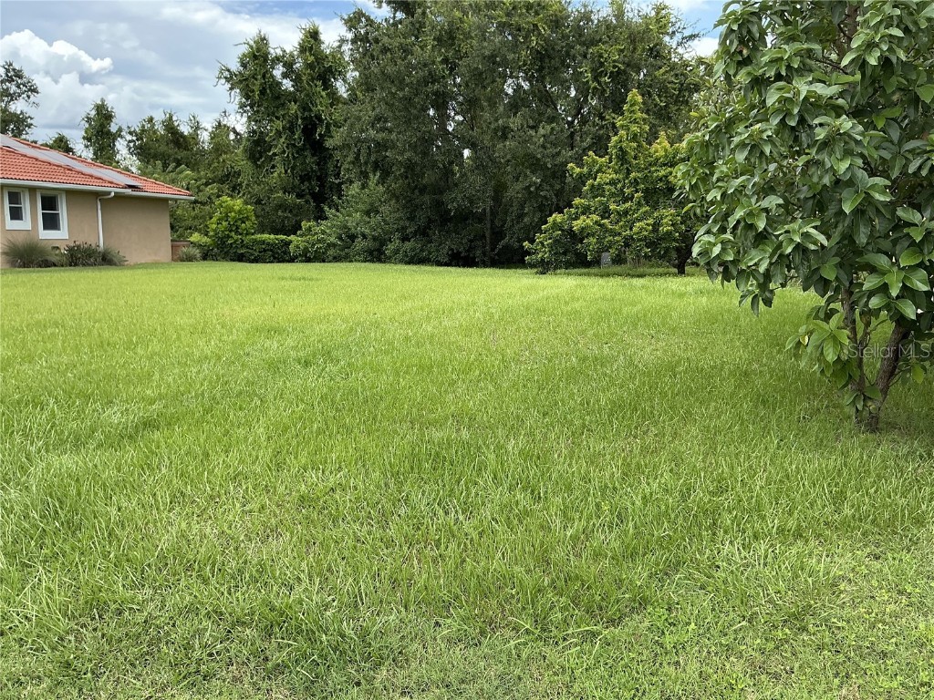 21049 Los Cabos Court Land O Lakes FL 34637 TB8423382 image1