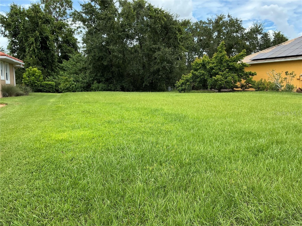 21049 Los Cabos Court Land O Lakes FL 34637 TB8423382 image2