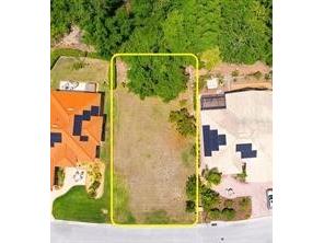 21049 Los Cabos Court Land O Lakes FL 34637 TB8423382 image4