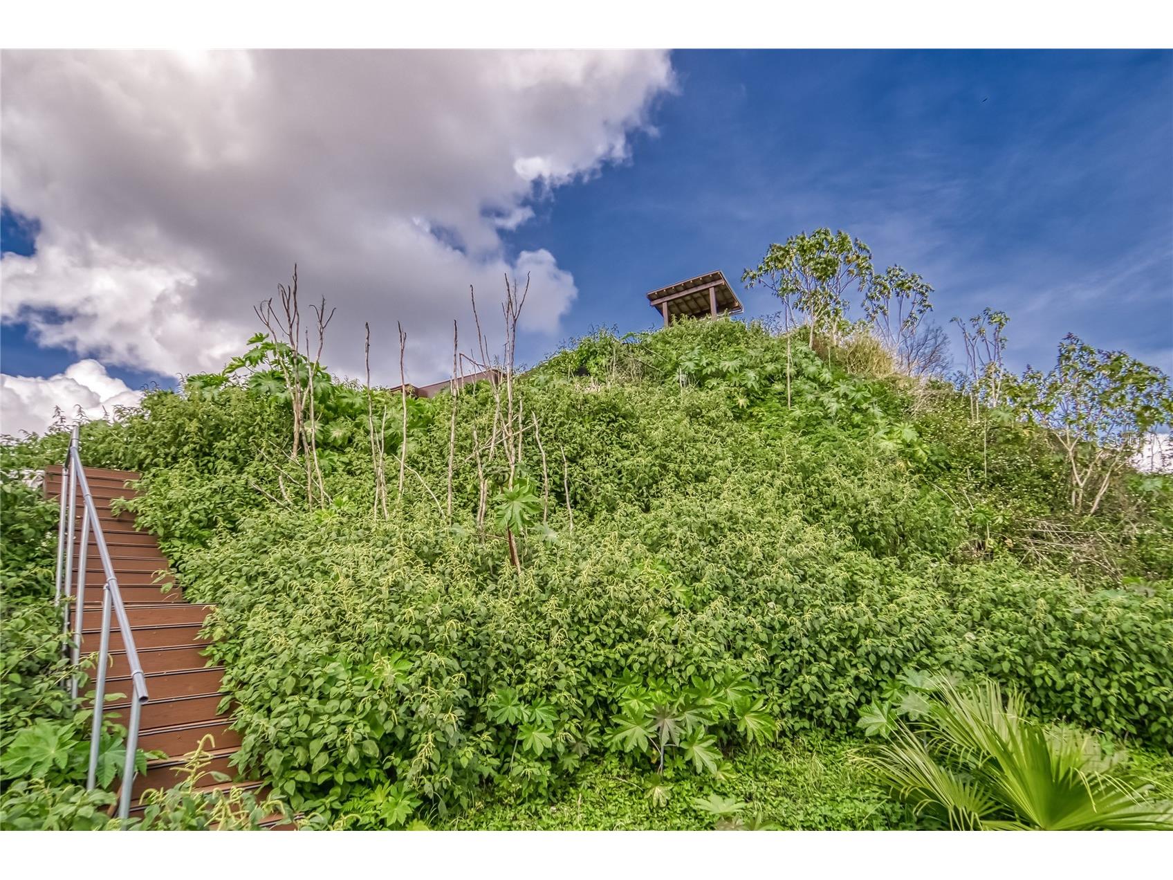 2105 Bruce Street Lakeland FL 33801 L4958650 image22