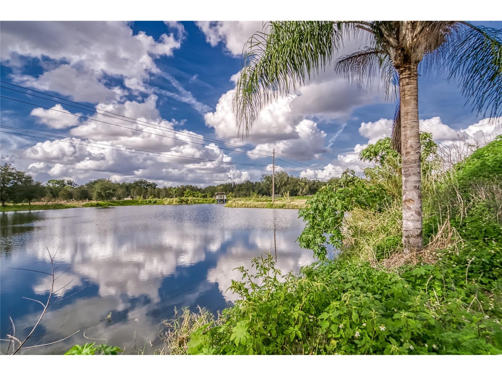 2105 Bruce Street Lakeland FL 33801 L4958650 image8