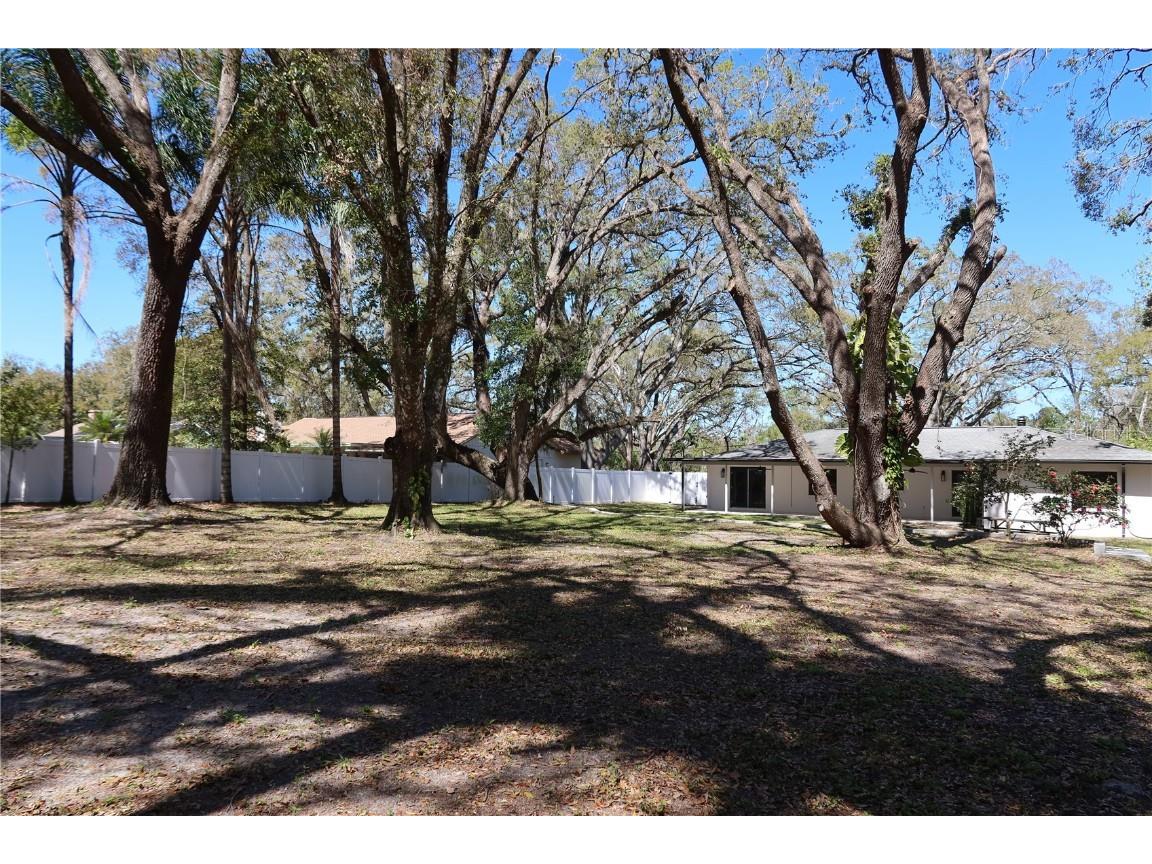 2105 Curry Road Lutz FL 33549 TB8368257 image76