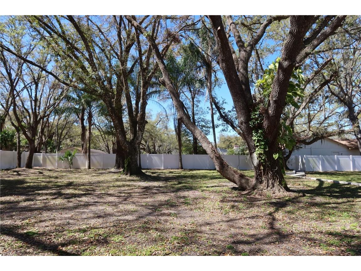 2105 Curry Road Lutz FL 33549 TB8368257 image78