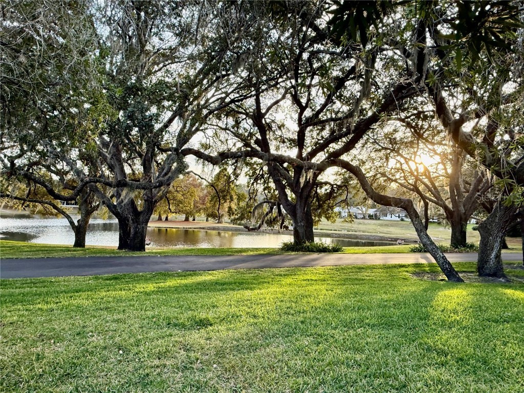 2105 Greenlaw Court #2105 Leesburg FL 34788 S5139750 image29