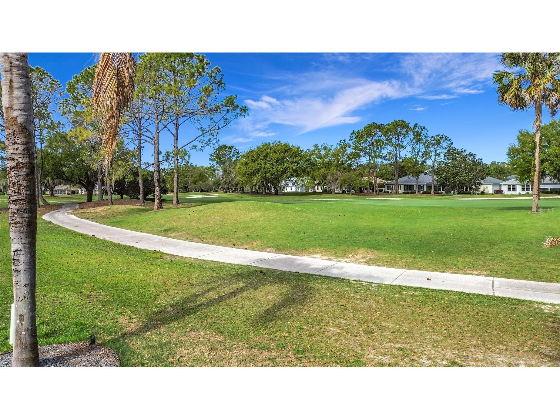 2105 Zaragoza Place The Villages FL 32159 G5109818 image41