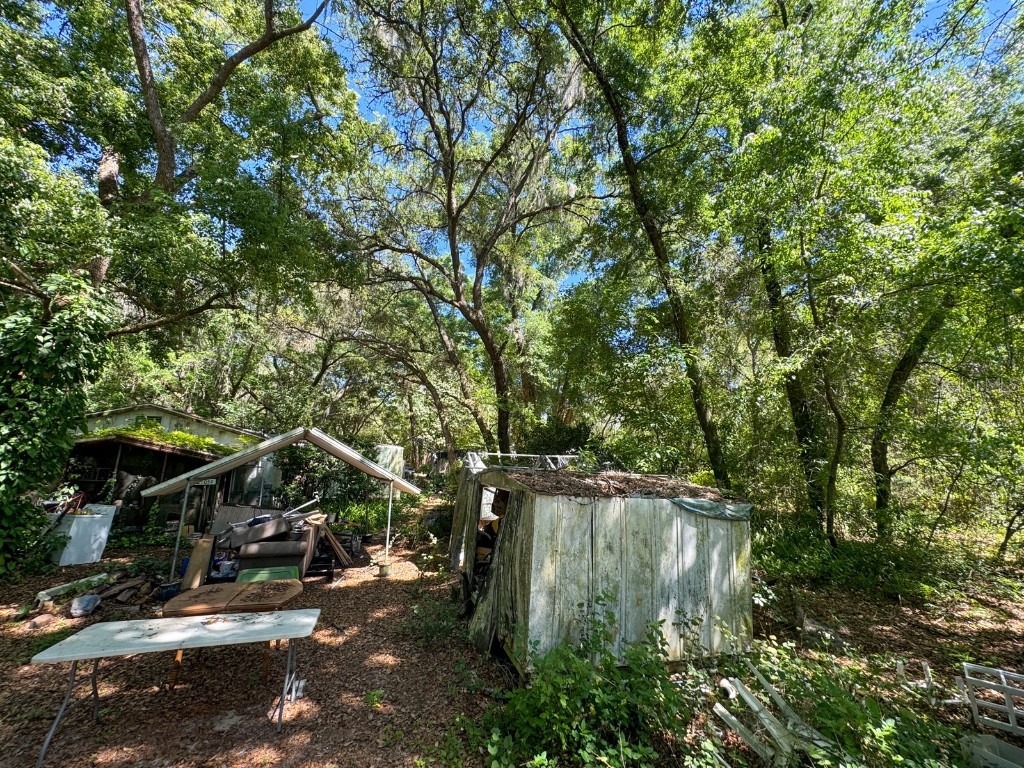 21050 SE 155th Street Umatilla FL 32784 O6196261 image1