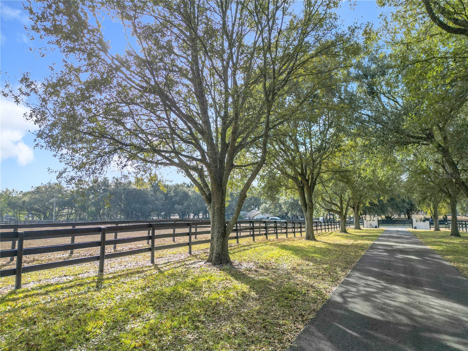 21051 SE 42nd Street Morriston FL 32668 OM717505 image18