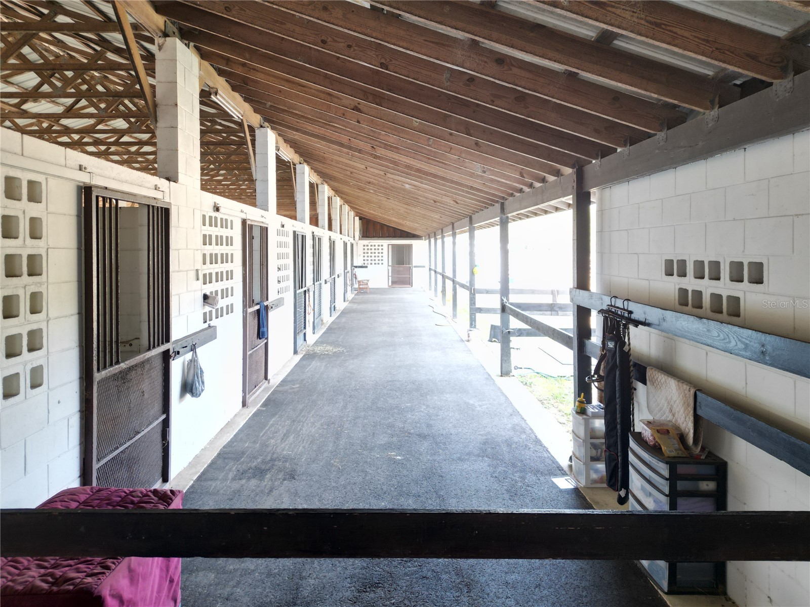 21051 SE 42nd Street Morriston FL 32668 OM717505 image3