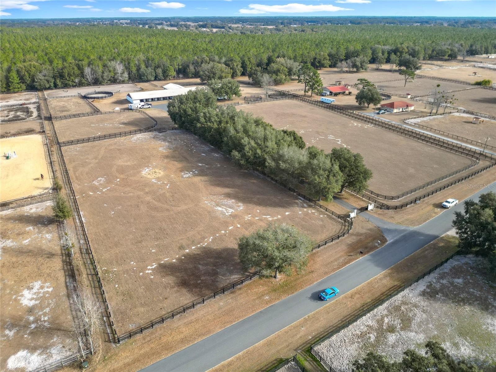 21051 SE 42nd Street Morriston FL 32668 OM717505 image32