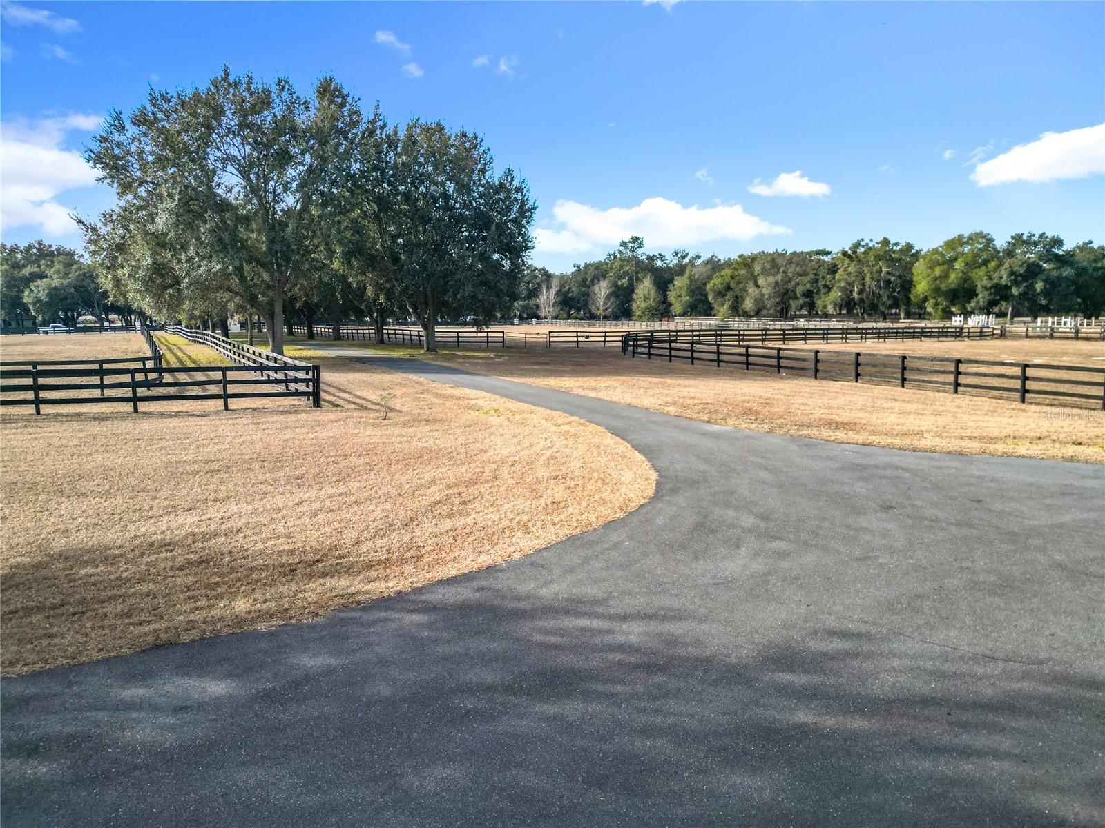 21051 SE 42nd Street Morriston FL 32668 OM717505 image39