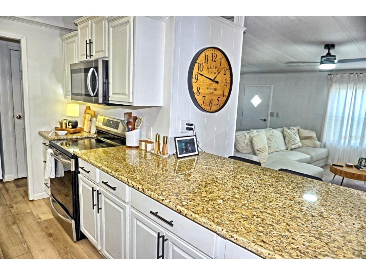 21052 Little Magens Loop Lutz FL 33558 W7883203 image16