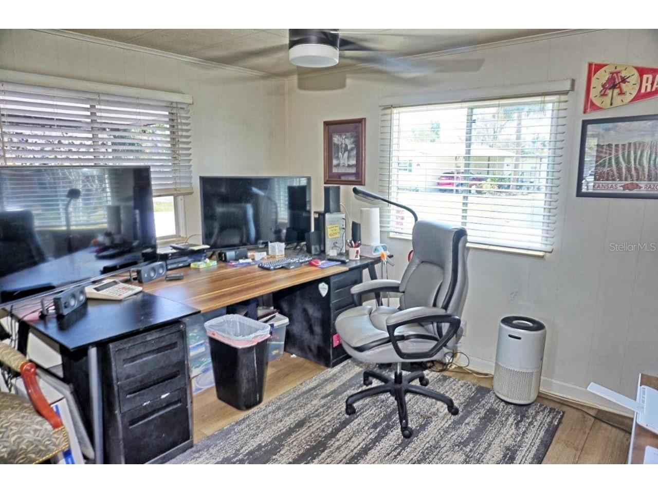 21052 Little Magens Loop Lutz FL 33558 W7883203 image33