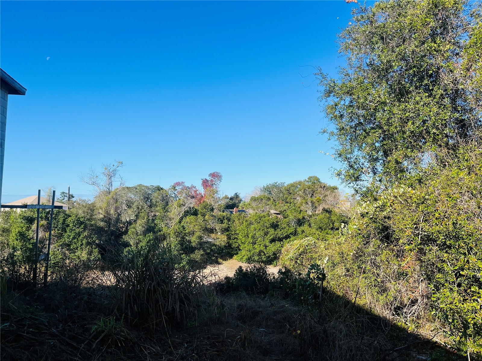 2106 E Gloria Drive Deltona FL 32725 O6372571 image4