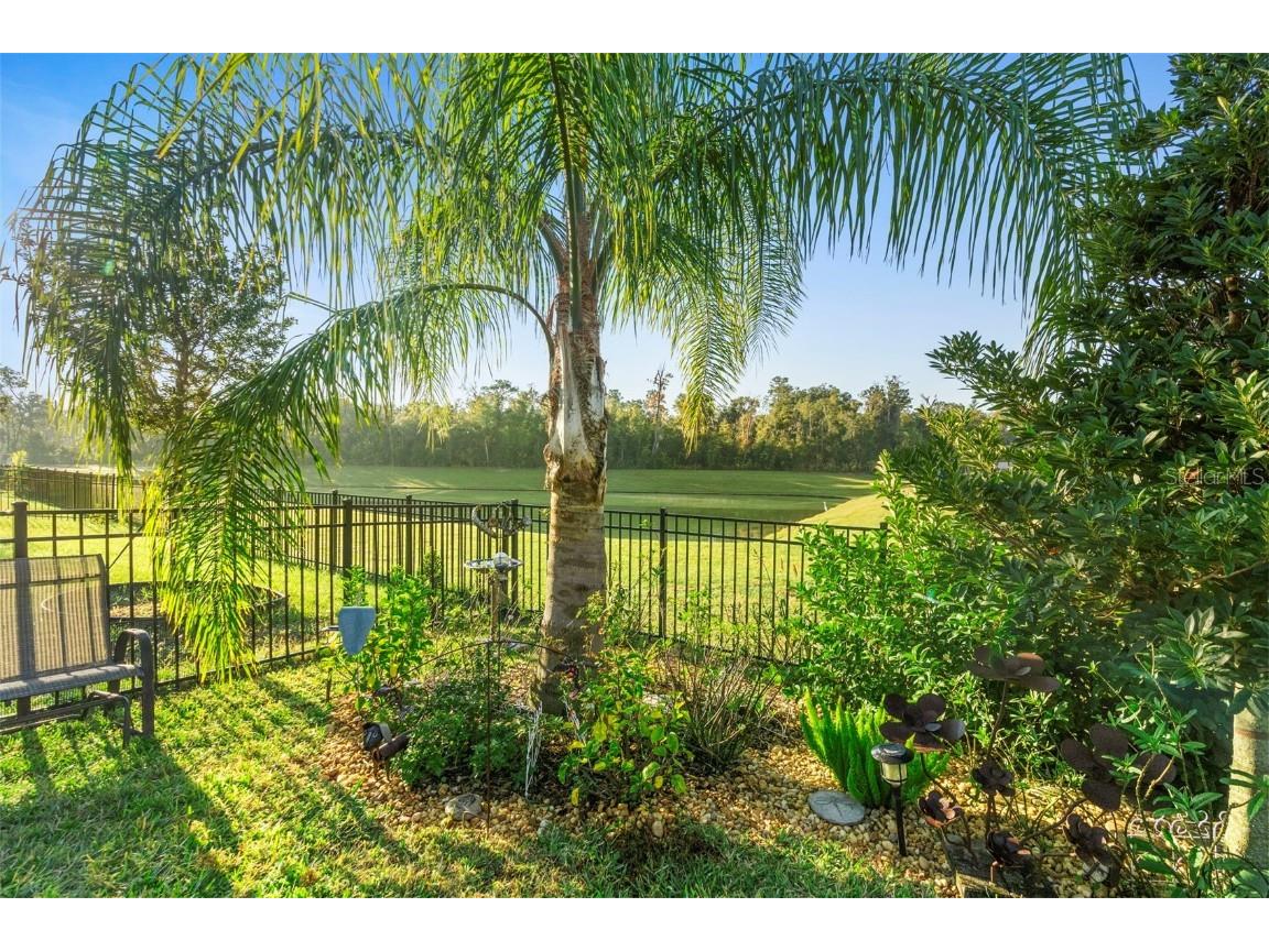 2106 Havasu Falls Drive Deland FL 32724 V4945929 image44