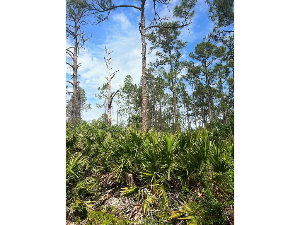 2106 Moore Avenue Alva FL 33920 C7473939 image1