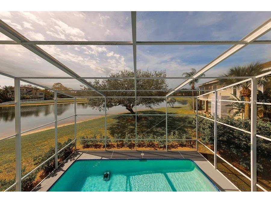 2106 Pelican Court Tarpon Springs FL 34689 TB8495246 image51