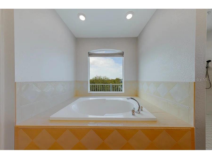 2106 Pelican Court Tarpon Springs FL 34689 TB8495246 image7