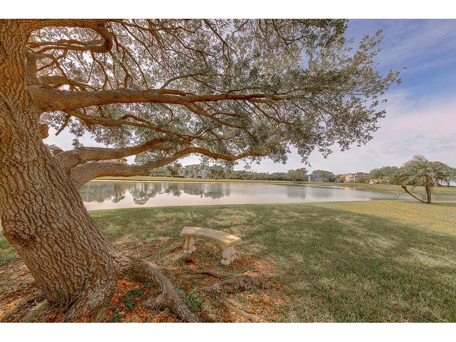 2106 Pelican Court Tarpon Springs FL 34689 TB8495246 image72