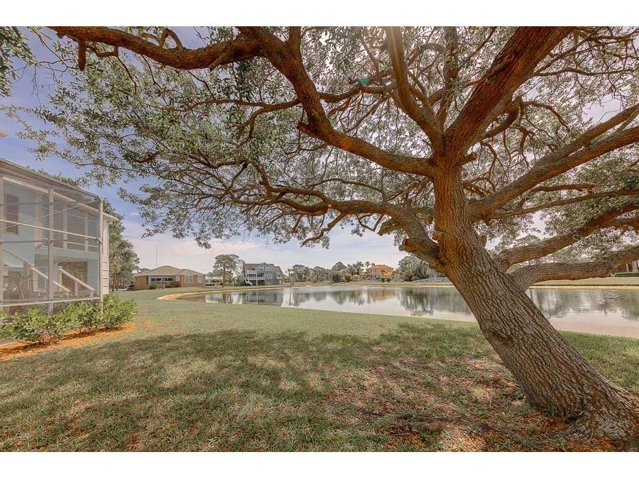 2106 Pelican Court Tarpon Springs FL 34689 TB8495246 image73