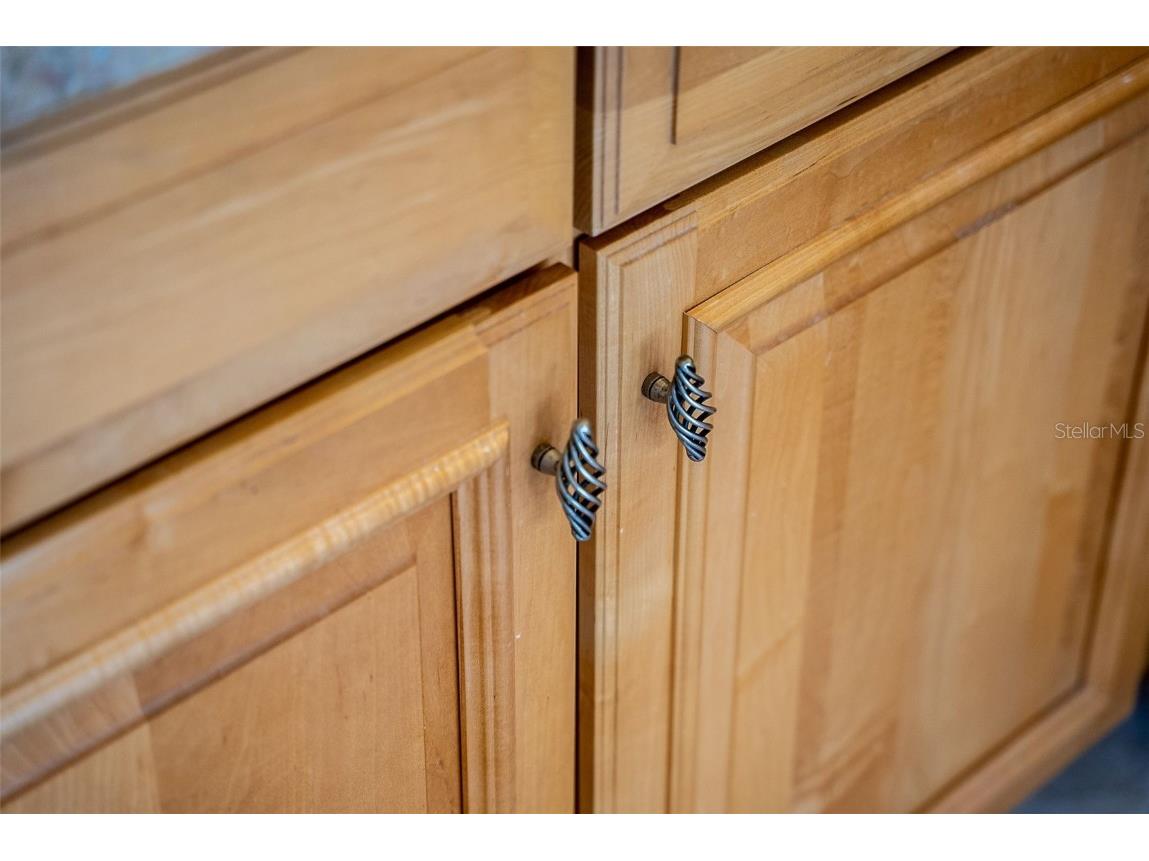 2106 SW 52nd Street Cape Coral FL 33914 A4667586 image49